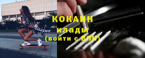 соль ск Алзамай