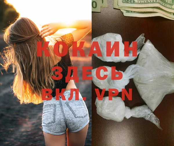 соль ск Алзамай