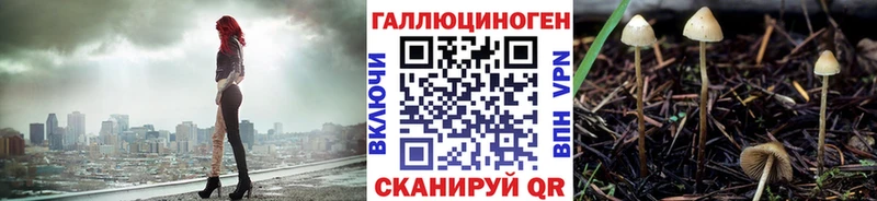 ОМГ ОМГ вход  Кохма  Псилоцибиновые грибы Psilocybe 